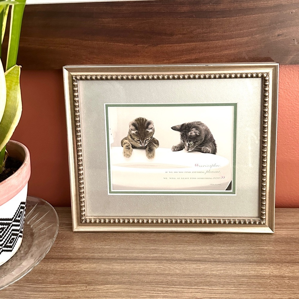 Let’s Explore…Find Something New Cat Print Kitty Voltaire Quote Framed Wall Art